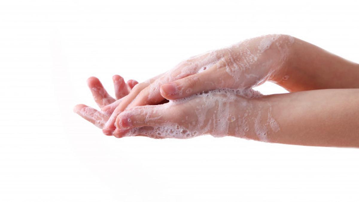 Wabah Penyakit Selalu Dimulai dari Satu Orang, Epidemiolog Ingatkan Pentingnya PHBS Meski Sedang di Hutan