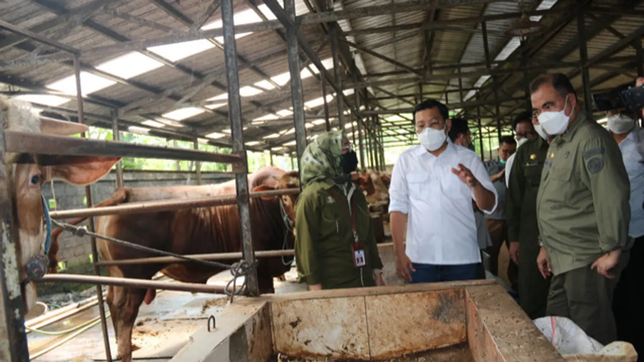 Peternak Jatim Pastikan Stok Aman