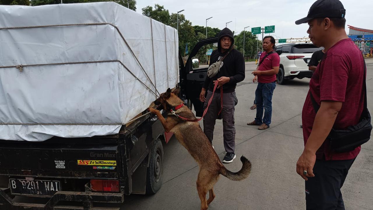 Barang bukti narkoba hasil Operasi Seaport Interdiction di Pelabuhan Bakauheni Lampung. (Merdeka.com/Bachtiarudin Alam)