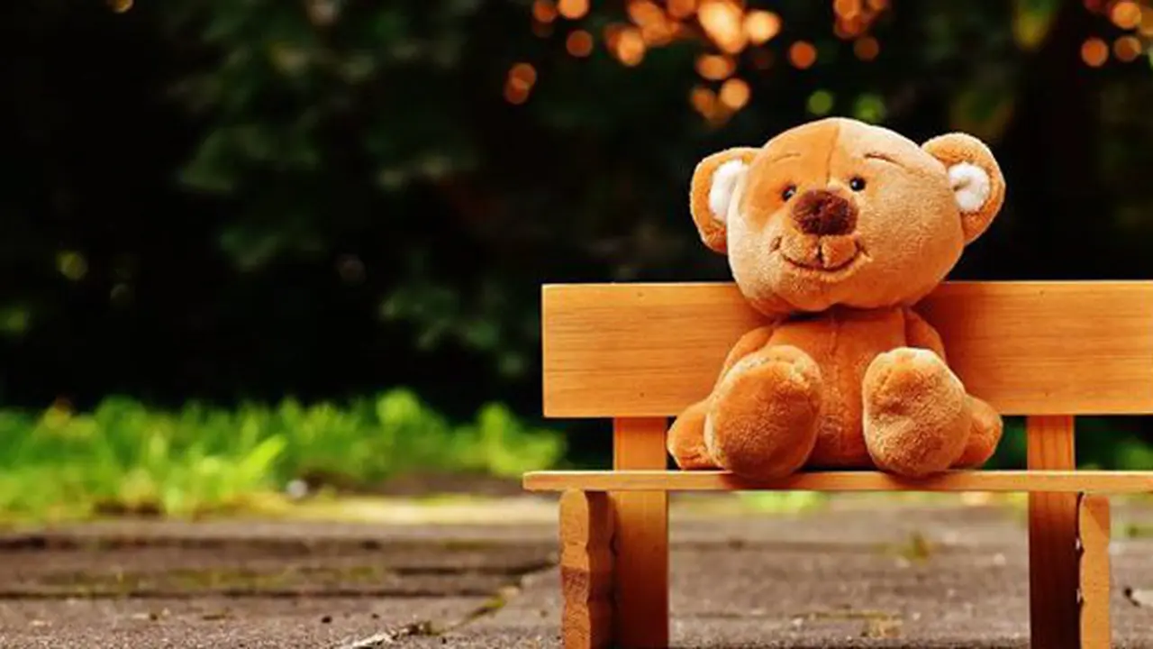 Polisi bawa boneka saat jalankan tugas/copyright Pexels.com