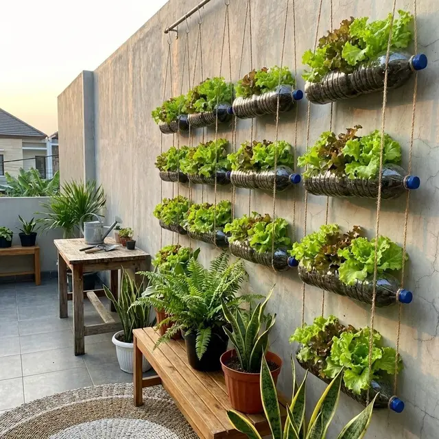 Ide Kebun Sayur di Rumah Modal Rp 100 Ribuan