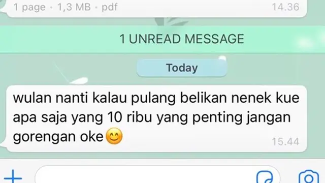 6 Chat Cucu dan Nenek Ini Bikin Geleng Kepala