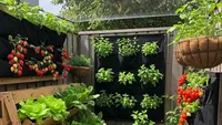 9 Ide Memaksimalkan Sisa Lahan Belakang Rumah Jadi Area Produktif