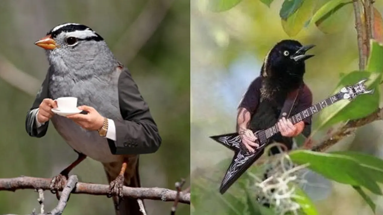 6 Editan Foto Burung dan Manusia Ini Enggak Habis Pikir, Absurd Maksimal