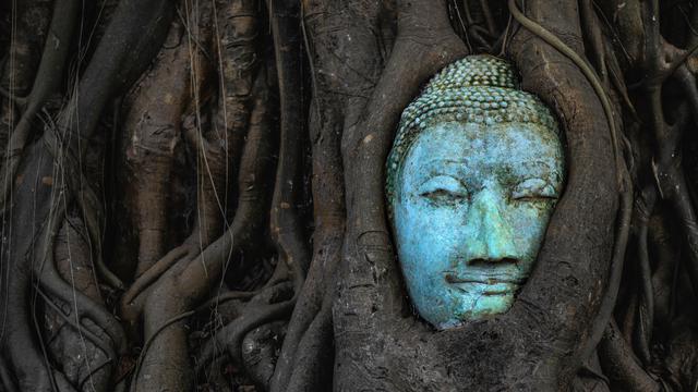 Ilustrasi pohon beringin