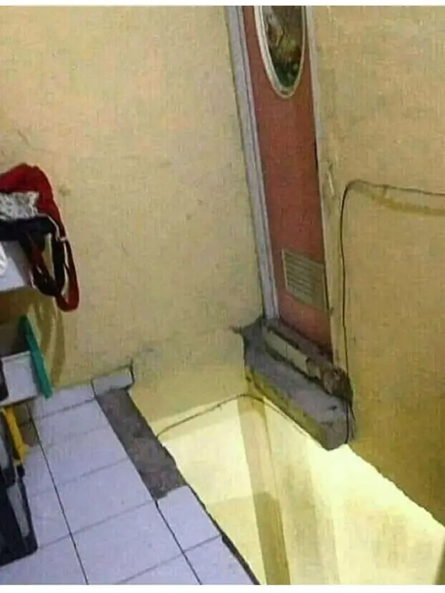 6 Desain Pintu Rumah Ini Nyeleneh, Absurd Banget
