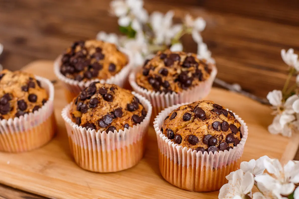muffin choco chips
