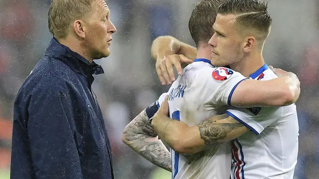 Heimir Hallgrimsson, Timnas Islandia