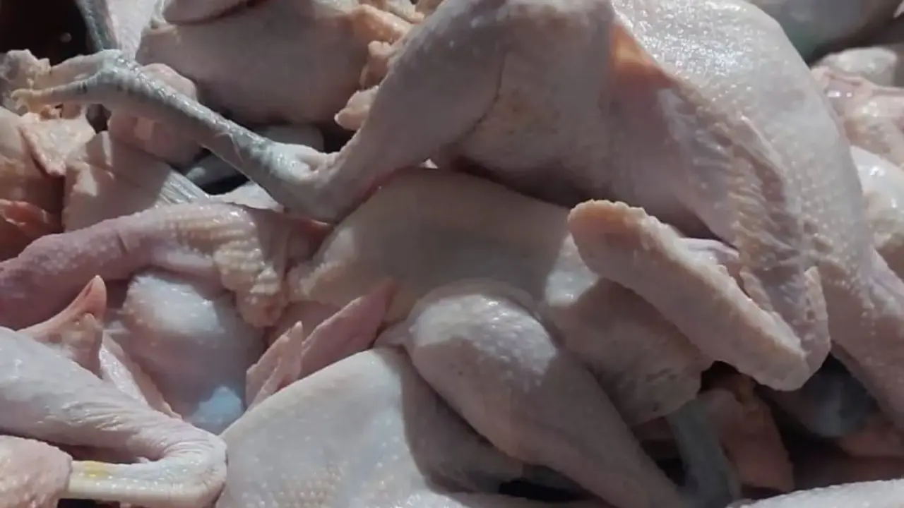 Cara Memasak Ayam Kampung Agar Empuk Tanpa Presto, Hanya Butuh Bahan Dapur Ini