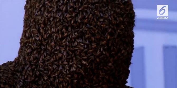 VIDEO: Pria Pecahkan Rekor Tutupi Wajah dengan 60.000 Lebah