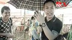 liputan6