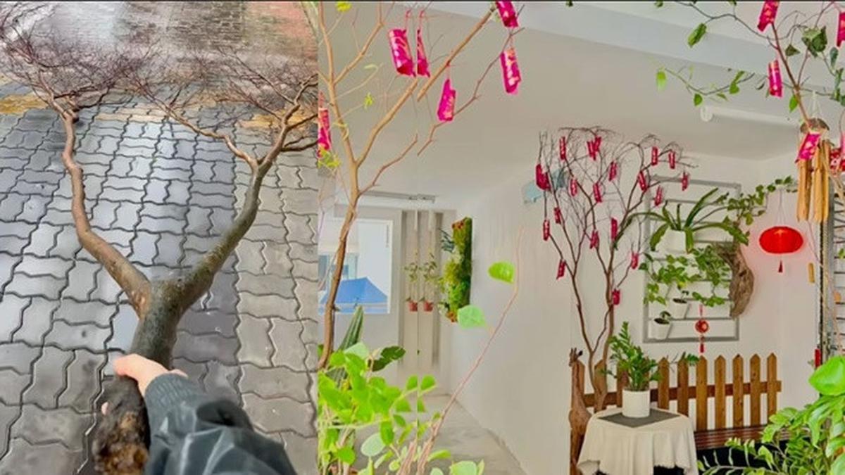 Kreatif dan Hemat Uang, Wanita Ini Ubah Ranting Pohon Jadi Dekorasi Imlek Menarik