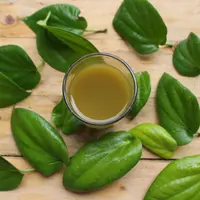ilustrasi manfaat daun suruhan yang bisa dijadikan obat herbal/ Maharani afifah/shutterstock