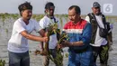 Bakau jenis Rhizophora Mucronata juga mampu menahan gelombang laut serta memberikan dampak pada peningkatan biota laut. (Liputan6.com/Angga Yuniar)