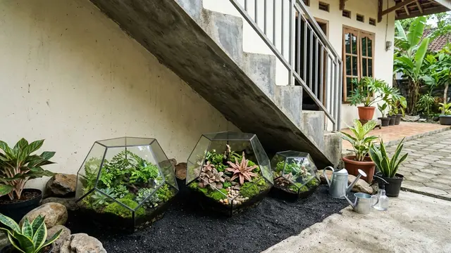 Ide Taman Mini di Bawah Tangga Luar Rumah