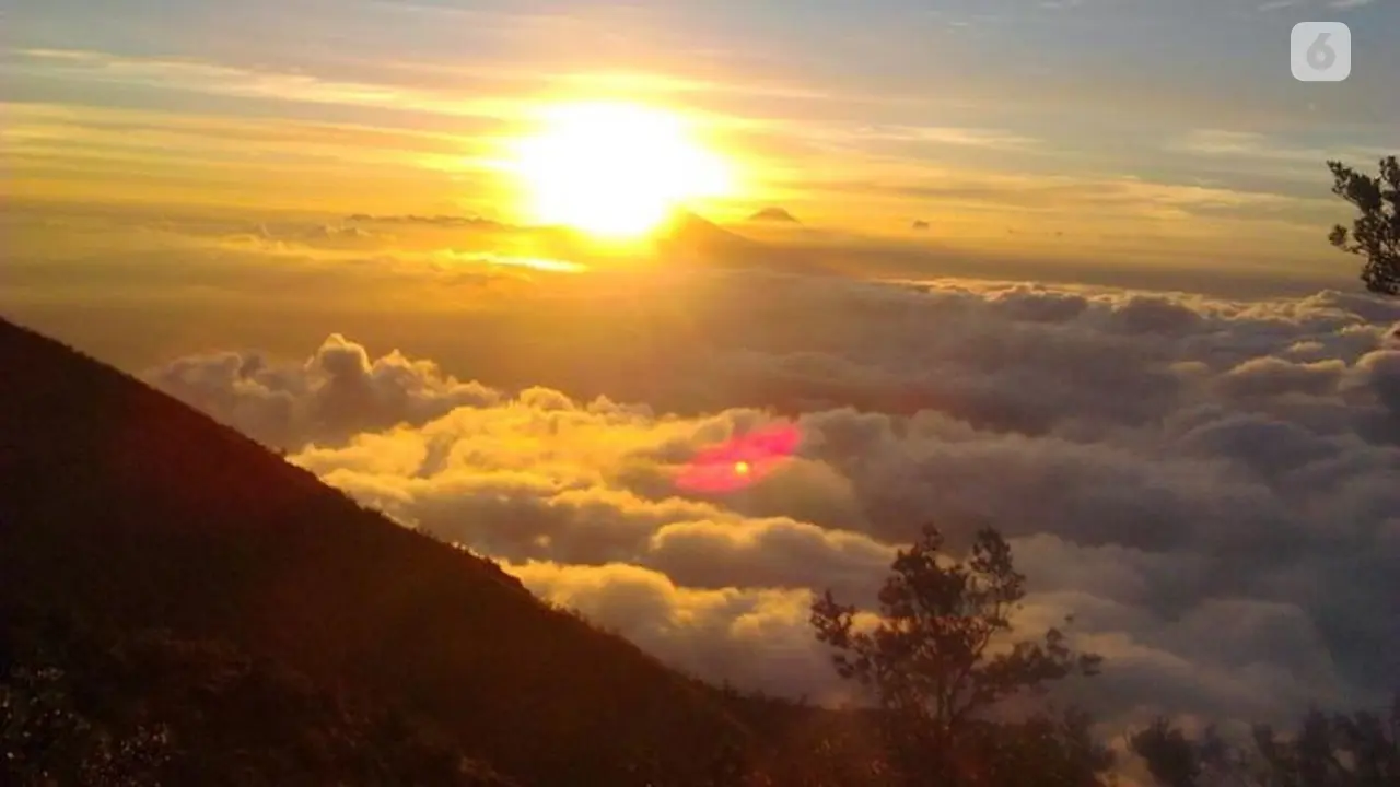 Matahari Kaya Vitamin D
