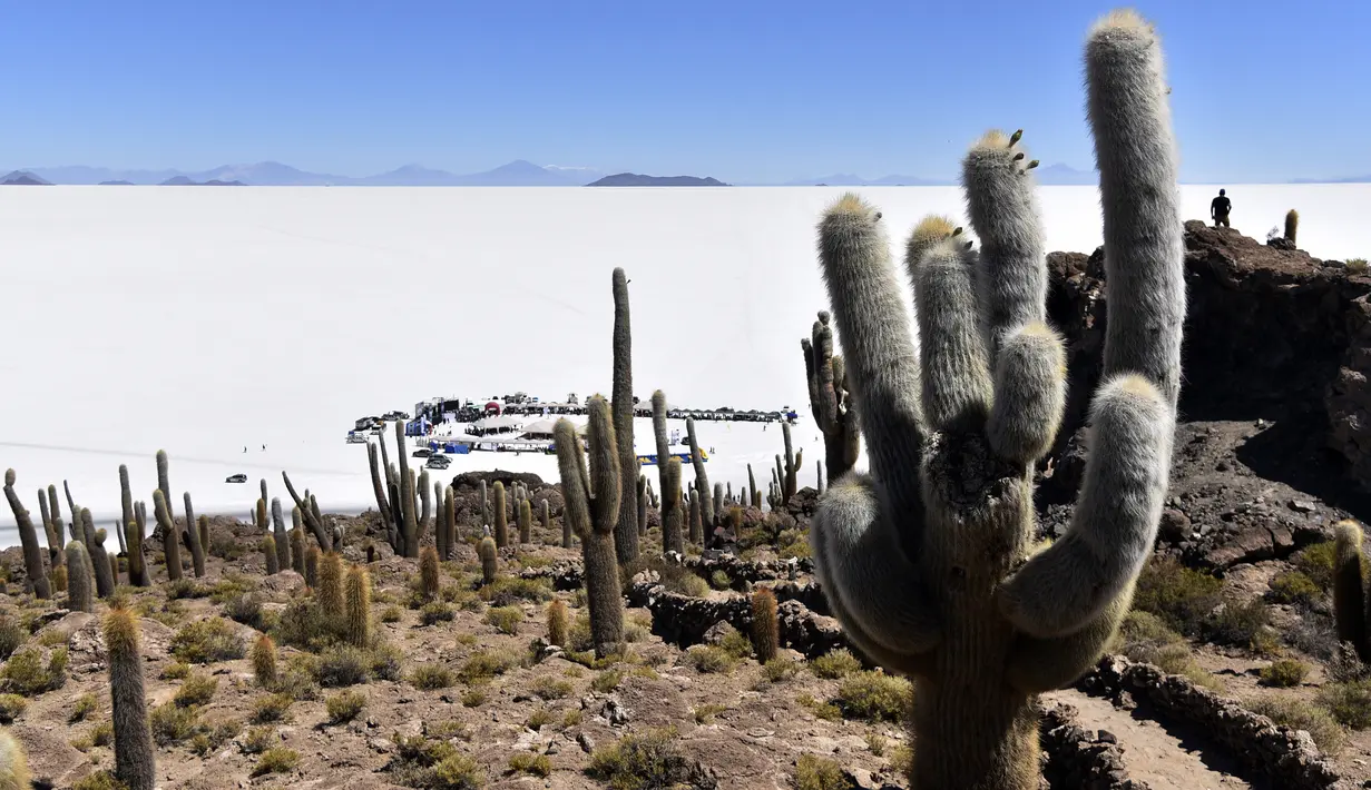 Pemandangan Salar de Uyuni, dataran garam terluas di dunia yang terletak di Altiplano, Bolivia, 28 September 2019. Salar de Uyuni terbentuk dari kerak garam ini memiliki permukaan datar dengan ketebalan sekitar satu meter yang menyelimuti seluruh permukaan danau. (Photo by Aizar RALDES / AFP)