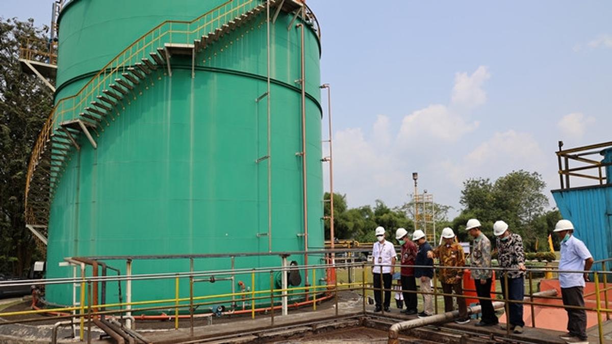 Limbah Sawit Bakal Disulap Jadi Pengganti LPG