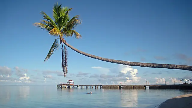 Wakatobi