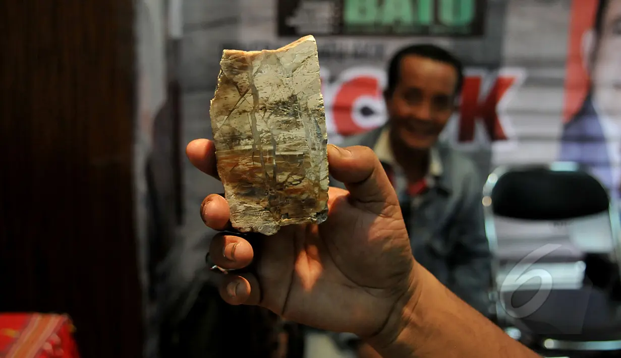 Pengunjung melihat salah satu jenis batu pada pameran batu mulia bertajuk "Demam Batu" di Plaza Pameran Kemenperin, Jakarta, Selasa (21/4/2015). Pameran yang diikuti 24 provinsi di Indonesia itu berlangsung dari  21-24 April. (Liputan6.com/Johan Tallo)