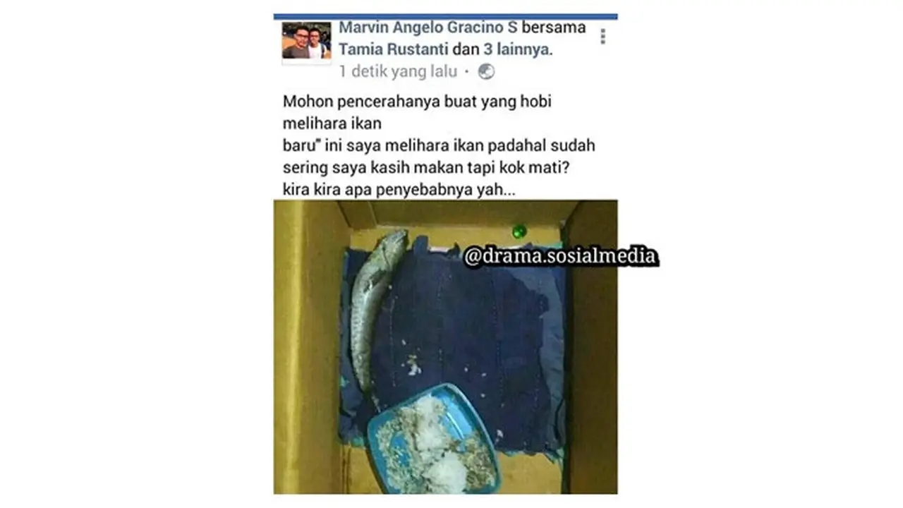 Pertanyaan Lucu di Media Sosial Ini Malah Bikin Emosi