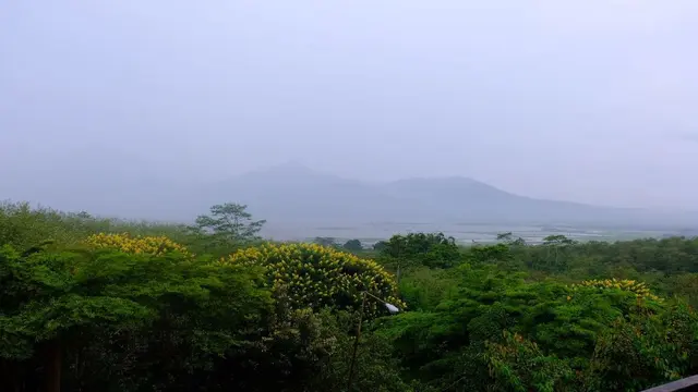 Pemandangan dari Skyview di Kampoeng Kopi Banaran, Bawen, Kabupaten Semarang