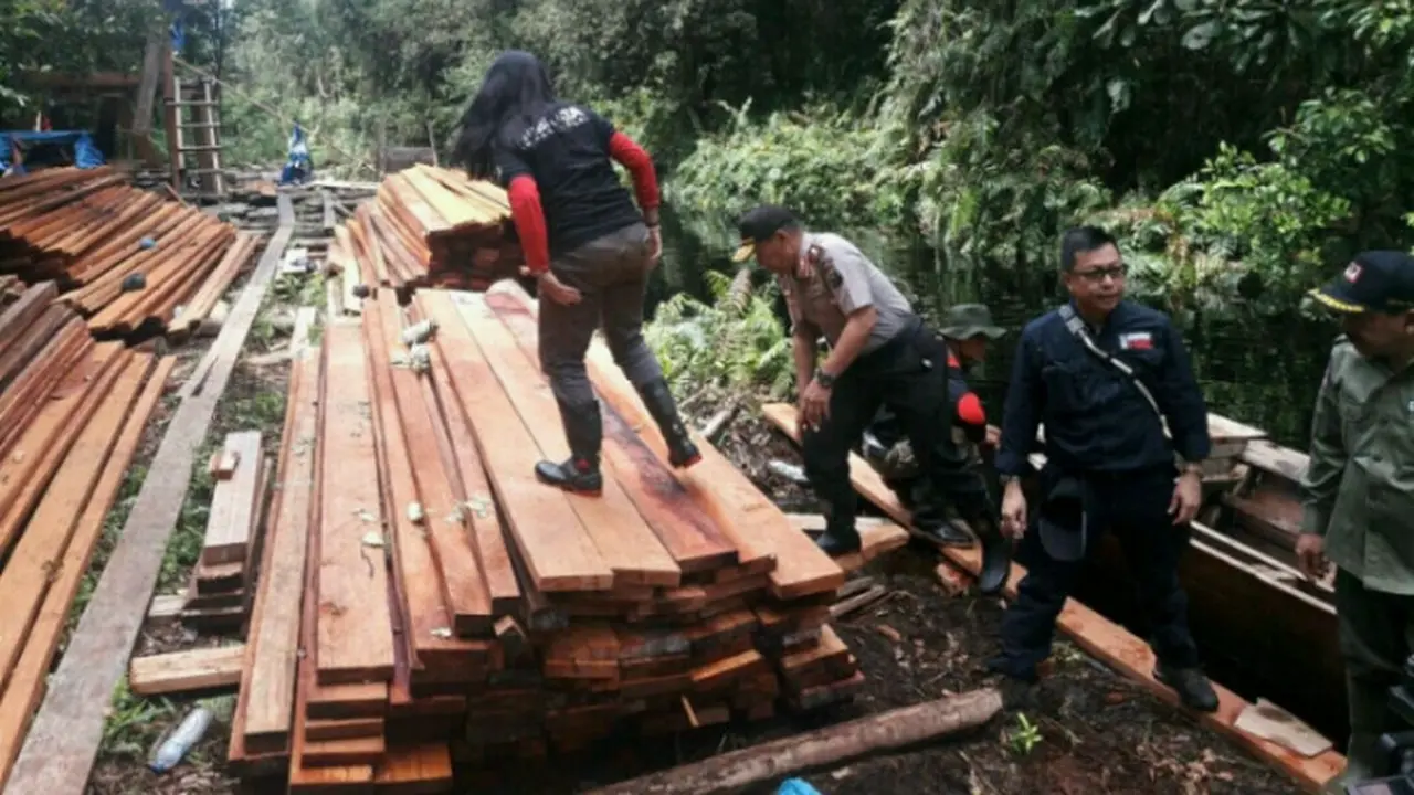 Pembalakan Liar