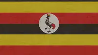 Penyakit Misterius Dinga-dinga Serang Uganda: Berikut Gejala dan Upaya Pengobatannya