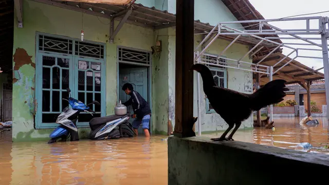Penampakan Banjir yang Merendam Serang Banten