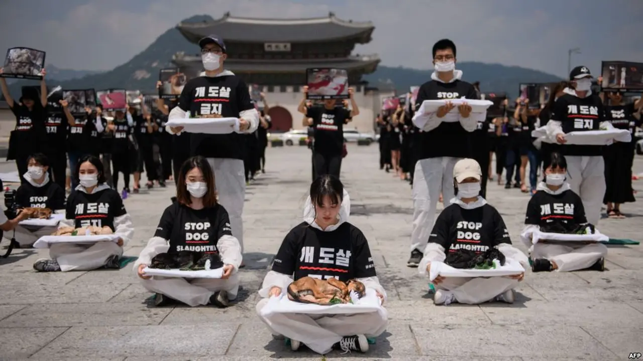 Para aktivis perlindungan hak-hak binatang 'Animal Liberation Wave' dan 'Last Chance for Animals' menunjukkan bangkai anak anjing yang diambil dari peternakan anjing dalam demo menentang perdagangan daging anjing di Seoul, Korea Selatan (17/7) (AFP)