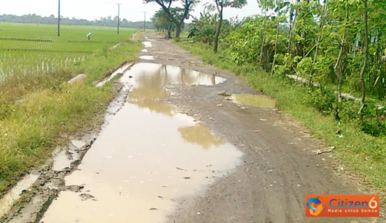 Citizen6, Sumedang: Jalan sepanjang empat Kilometer yang menghubungkan Desa Kudanwangi dan Desa Keboncau, Kecamatan Ujungjaya, Kabupaten Sumedang dalam kondisi yang memprihatinkan. (Pengirim: Alfa Heryana)
