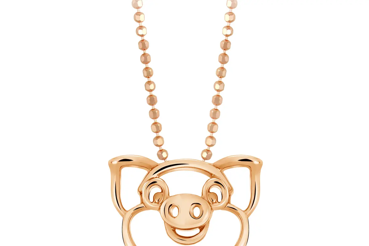 Porcy the Pig