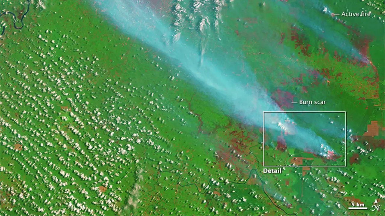 Citra satelit pada 5 September 2015 yang diambil instrumen Operational Land Imager pada Satelit Landsat 8 