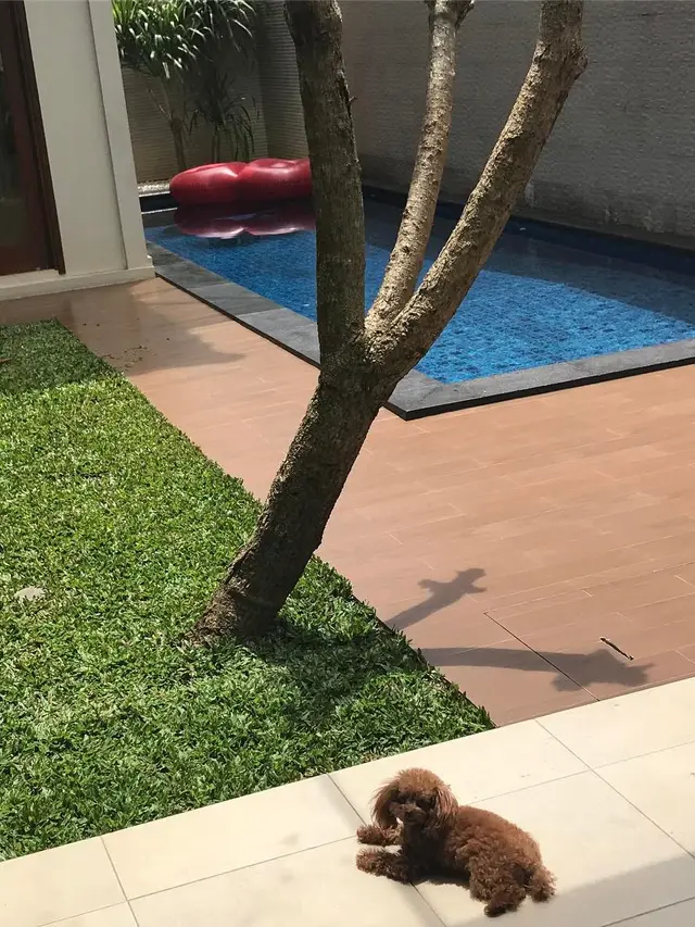 6 Foto Rumah Nabila Syakieb, Kamar Putrinya Mewah Banget