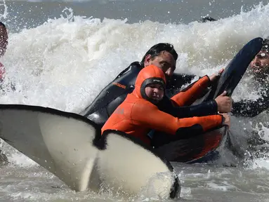 Tim penyelamat dan sukarelawan berupaya mengembalikan paus pembunuh ke laut setelah terdampar, di pantai Mar Chiquita, Argentina, Senin (16/9/2019). Sebanyak enam dari tujuh paus pembunuh yang ditemukan terdampar berhasil dikembalikan ke laut, tetapi satu di antara mereka mati. (AP/Marina Devo)