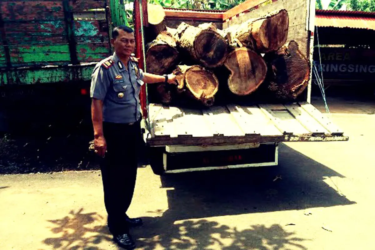 Pencurian Kayu