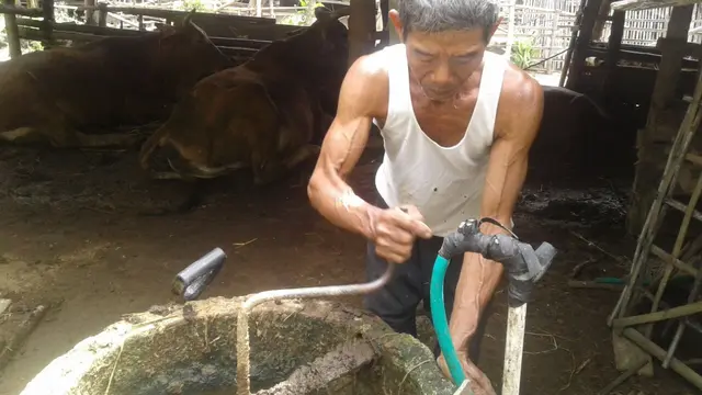 Mantan TKI Banting Setir Jadi Pengusaha Olahan Kotoran Sapi