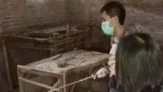 liputan6