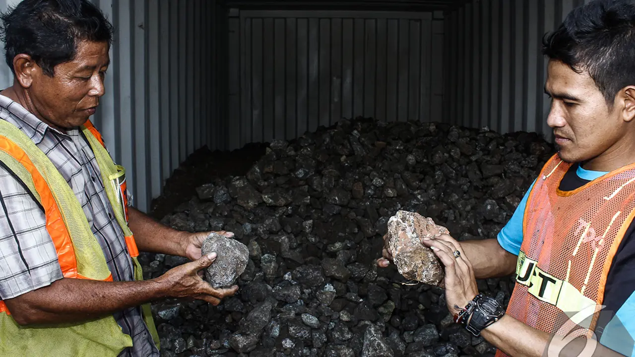 Bea dan Cukai Rilis 37 Kontainer Minerba Ilegal