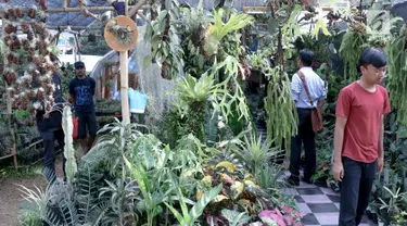 Pengunjung melihat-lihat tanaman yang dijual dalam pameran Flora dan Fauna 2018 di Taman Lapangan Banteng, Jakarta, Selasa (21/7). Pameran berlangsung mulai 10 Agustus hingga 10 September 2018. (Liputan6.com/Immanuel Antonius)