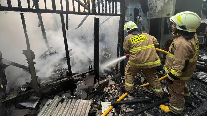 Api Lalap Kapuk Muara: Fakta Pilu, Ribuan Mengungsi!