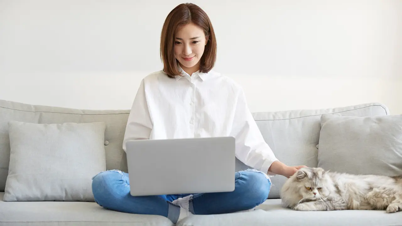 Kepribadian Pecinta Kucing