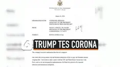 tes trump
