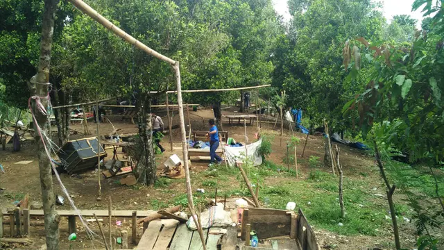 Sabung ayam