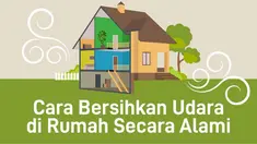 Beberapa upaya mampu dilakukan untuk mengurangi polusi udara.