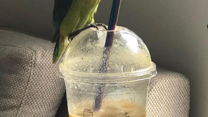 10 Momen Kebetulan Tertangkap Kamera, Hasilnya Kayak Editan. Sumber: Brightside