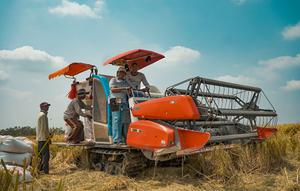 Ilustrasi lahan pertanian. (Istimewa)