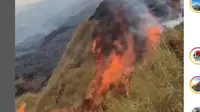 Bukit Anak Dara di Kaki Gunung Rinjani Terbakar, Jalur Pendakian Ditutup Sementara