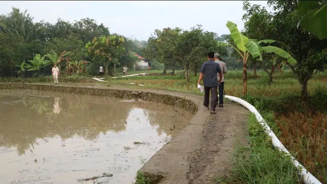Kementan