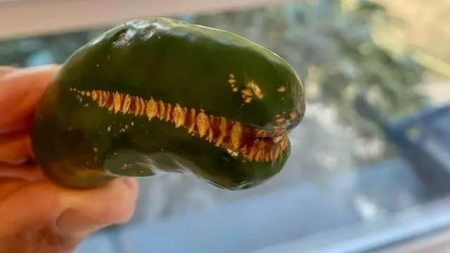 Bisa Jadi Pareidolia, Perhatikan 10 Potret Wajah di Benda Mati Ini